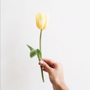 Meet your Posher, Katrina